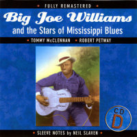 I'm A Guitar King_Tommy McClennan