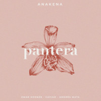 Anakena_Anakena,Andrés Mata,Song 3,Omar Koonze
