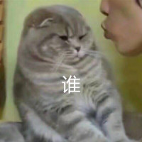 谁_封茗囧菌