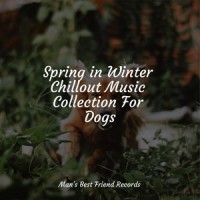 Find Yourself_Relaxing Music for Dogs,Music For Dogs Peace,Sleepy Dogs