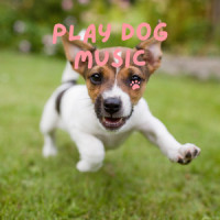 Calm Gentle_Pet Music Therapy,Pets Love Music,Piano Peace