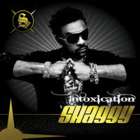 Criteria_Shaggy