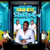 P.M.S (feat. Vixen)_Dreshon,Vixen