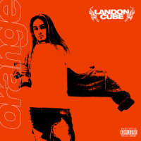 17_Landon Cube,Lil Skies