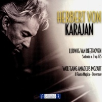 Symphony No. 9 in D Minor, Op. 125: IV. Pt. 1. Presto - Allegro ma non troppo - Tempo I_Wiener Philharmoniker,Herbert von Karajan