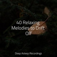 Find the Centre_Rain for Deep Sleep,Sleep Sounds of Nature,Spa