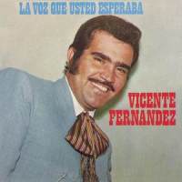 Antes Que Tú_Vicente Fernández