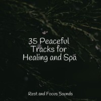 Trance and Zen_Exam Study Classical Music,Study Zone,Wellness