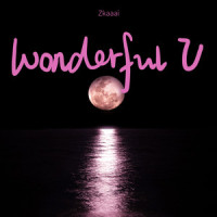 Wonderful U_Zkaaai