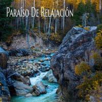 Mi Medicina_Alex Rodriguez,Mantra para Meditar,Sonido Del Bosque y Naturaleza,Música Instrumental Maestro