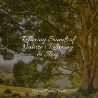 Healing Touch_Deep Sleep,Anxiety Relief,Deep Sleep Meditation