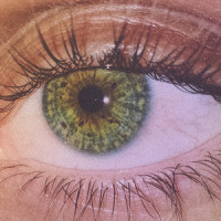 Grüne Augen lügen nicht_JEREMIAS