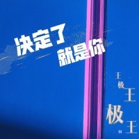 决定了,就是你_王极