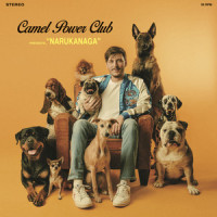 Disappearance in Narukanaga_Camel Power Club,Leonard Bremond