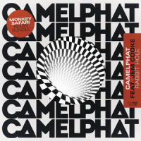 Rabbit Hole_CamelPhat,Jem Cooke