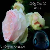 String quartet No. 14, in C sharp minor Op.131 - IV. Andante ma non troppo e molto canable - Ludwig van Beethoven_Ludwig van Beethoven