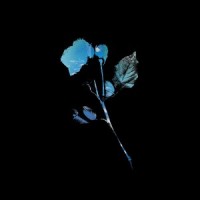 Terrified_Tamaryn