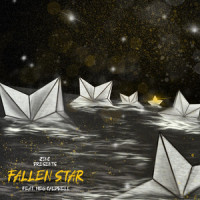 Fallen Star_Zinc,Meg Caldwell
