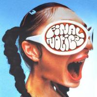 Final Notice_Willow Kayne