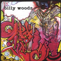 Shinin'_billy woods