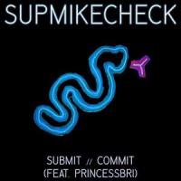 Submit // Commit(feat. PRINCESSBRI)_Supmikecheck,PRINCESSBRI