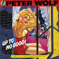 Drive All Night_Peter Wolf