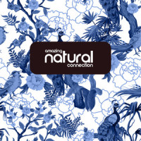 Spirituality_Sounds Of Nature,Spa