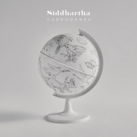 Cardúmenes_Siddhartha