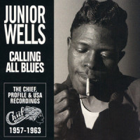 You Don't Care_Junior Wells