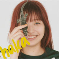 reprise_halca
