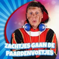 Zachtjes gaan de paardenvoetjes_Party Piet Pablo