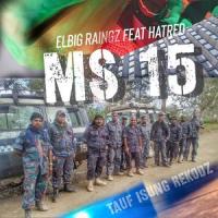 MS 15(feat. Hatred)_Elbig Raingz,HATRED