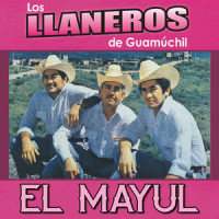 Luis Pulido_Los Llaneros De Guamuchil,Cein Alfaro