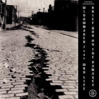 Brief You on the Damages(feat. WRD Life)_Widowmaker,Wrd Life
