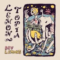 You Don't Do Laundry(feat. Stevie Powers)_Dev Lemons,Stevie Powers