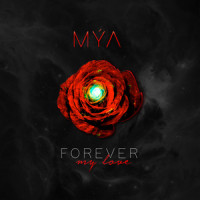 Forever My Love_Lamar "MyGuyMars" Edwards,Shaunise "Niecy Nice" Harris,Mya Harrison,Khirye Tyler,Mýa