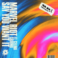Say You Want It_Marvel Riot,Celina Sharma