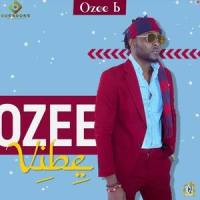 Flash(feat. Jax)_Ozee B,Jax