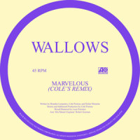 Marvelous_Wallows
