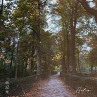 QSDM(Trailer)_Helen