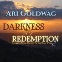 Sof Davar(feat. Moshe Dov Goldwag)_Ari Goldwag,Moshe Dov Goldwag