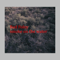 Blues In My Heart_Foley,Carson,Red Foley