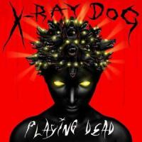 Quiet Night_X-Ray Dog
