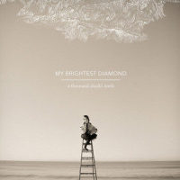 Inside a Boy_My Brightest Diamond
