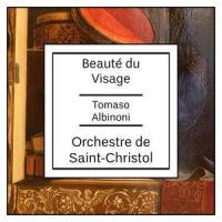 Sonata in D Minor, Op. 26_Orchestre de Saint-Christol,Tomaso Albinoni