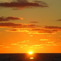 Arcturus_Dave Bell