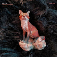 Fable of the Urban Fox_Arab Strap