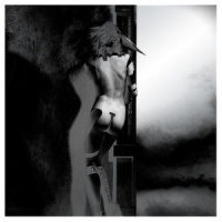 Natural Selection_Unkle,The Black Angels