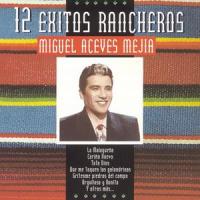 Virgencita de Zapopan_Miguel Aceves Mejía