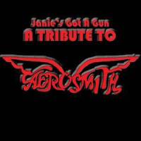 Pink - (Tribute To Aerosmith)_Wildlife